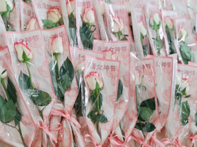 女神節(jié)快樂(lè)｜春日綻芳華，致敬她力量